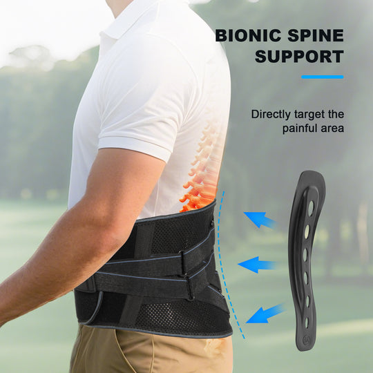 Back Brace for Lower Back Pain Relief – Ergonomic Lumbar Support Belt with Bionic Spine Design, 7 Stays, Dual Compression Straps, Breathable for Men & Women