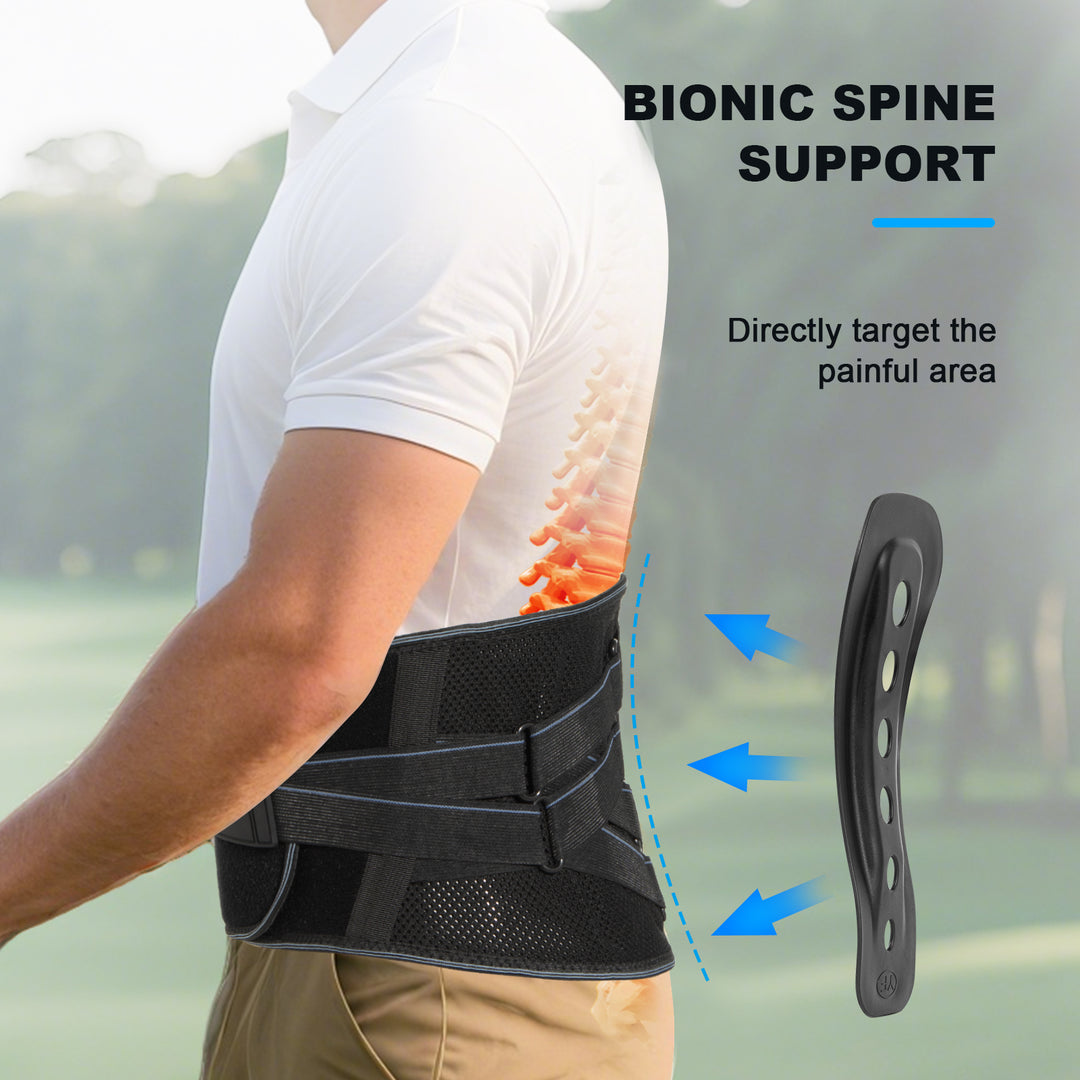 Back Brace for Lower Back Pain Relief – Ergonomic Lumbar Support Belt with Bionic Spine Design, 7 Stays, Dual Compression Straps, Breathable for Men & Women-L
